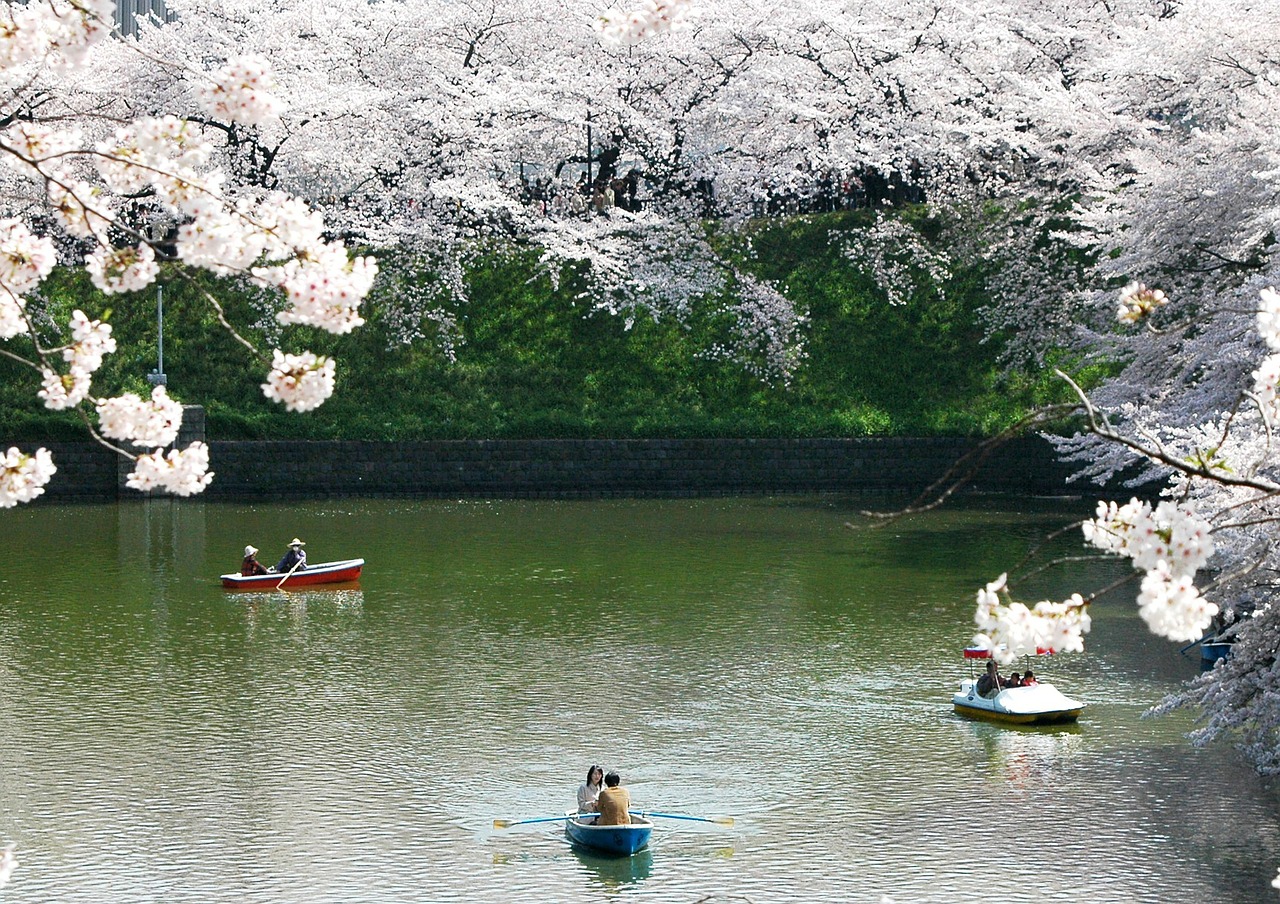 Kompas Novo mesto d.o.o., KNMtravel, Zaključene skupine, Po svetu, Japonska